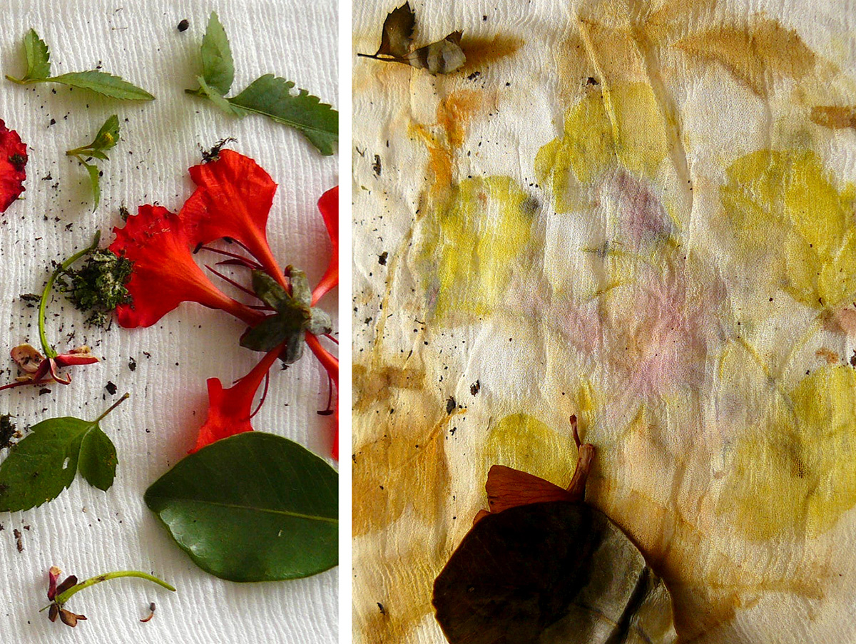 Plantas sobre o tecido e o resultado das lindas cores da impressão botânica