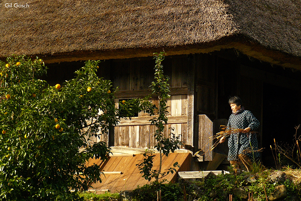 Casa com telhado de palha em Miyama, vilarejo de Kyoto, Japão