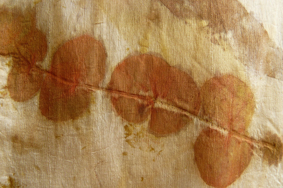 Detalhe da obra de arte têxtil Hagoromo mostrando impressão botânica da folha do eucalipto