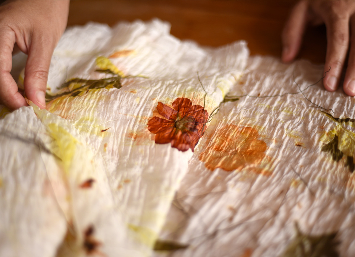 Desenrolando o tecido da impressão botânica para revelar a cor da flor do flamboyant