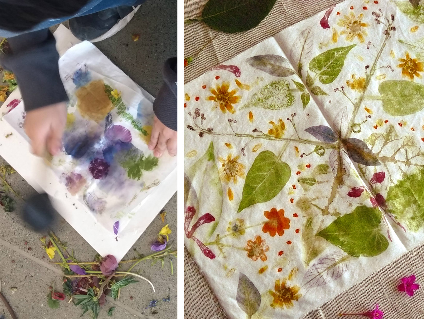 Desenrolando o tecido da impressão botânica para revelar a cor da flor do flamboyant